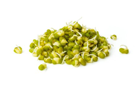 Photo for Mung beans with shoots close up. Heap of green gram seeds on white background. Sprouting of mung bean. Vigna radiata beans - Royalty Free Image