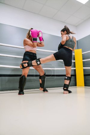 Photo for Vertical image of a female kickboxer with leg protectors kicking her partners leg in the ring. - Royalty Free Image