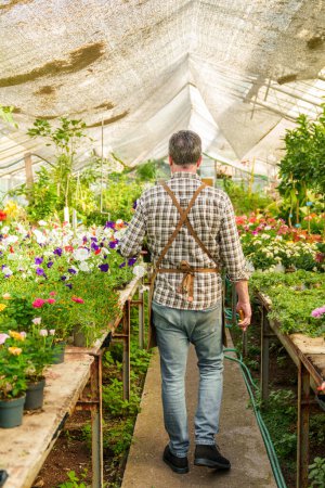 Foto de Un jardinero mayor caucásico, visto desde atrás, atraviesa un invernadero botánico lleno de vibrantes flores y plantas ornamentales, capturando una escena colorida - Imagen libre de derechos