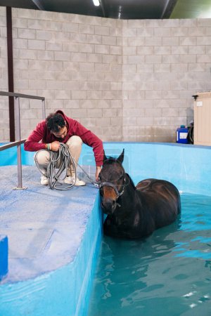 Ein von einem Trainer gelenktes Pferd, das nach einer Rehabilitationseinheit aus einem Hydrotherapie-Pool auftaucht.