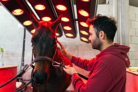 Ein Mann verabreicht einem Pferd in einem spezialisierten Rehabilitationszentrum für Pferde Infrarot-Wärmetherapie.