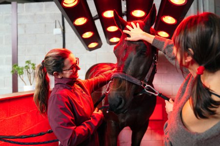 Nahaufnahme eines Pferdes bei Infrarot-Wärmebehandlung mit beruhigender Berührung durch eine Pflegerin.