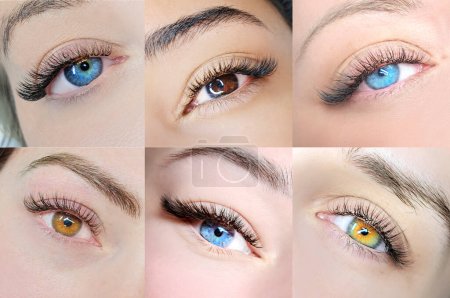 collage of six photos with close up of eyes with eyelash extensions ,beauty salon treatment. High quality photo