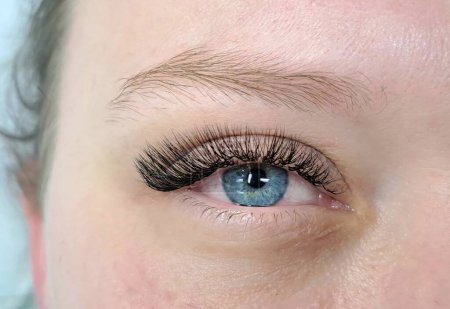 Nahaufnahme des Auges mit Wimpernverlängerungen, Schönheitssalon-Behandlung. Hochwertiges Foto