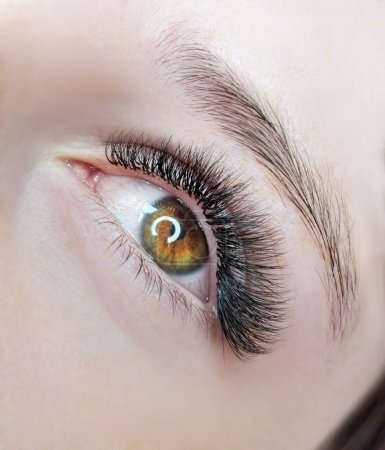 Photo for Close up of eyelash extensions in beauty salon macro eye.3d volume - Royalty Free Image