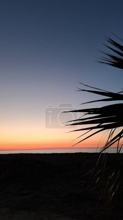 Téléchargez les photos : Le soleil plonge sous l'horizon projetant une lueur dorée chaude à travers la mer tranquille - en image libre de droit
