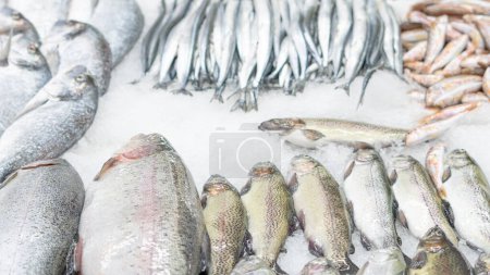 fresh fish on iced showcase on the seafood market.