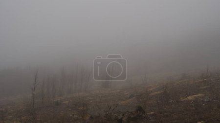 Enveloppe de brouillard majestueux sommets montagneux, créant un paysage mystique et serein
