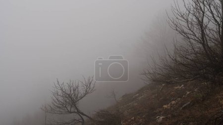 Enveloppe de brouillard majestueux sommets montagneux, créant un paysage mystique et serein