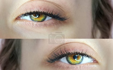Close up of eye with eyelash extensions ,beauty salon treatment ,2d volume, 3d volume, classical lashes,Russian volume,megavolume, new set