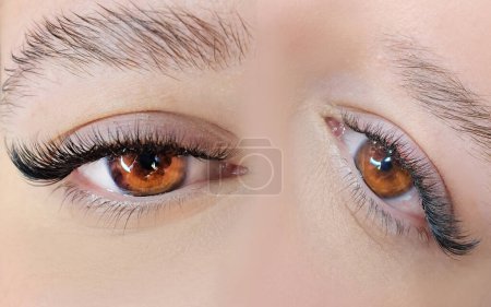 Nahaufnahme des Auges mit Wimpernverlängerungen, Schönheitssalon-Behandlung, 2d Volumen, 3d Volumen, klassische Wimpern, russisches Volumen, Megavolumen, neues Set