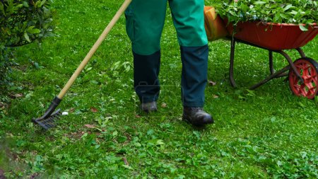 man in green suit collecting leaves in the garden, gardening.