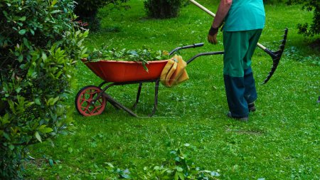 homme en costume vert ramassant des feuilles dans le jardin, jardinage.