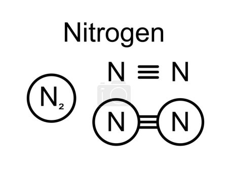 Illustration for Molecular model of Nitrogen N2 chemical molecule with one triple bond vector Illustration. Structural formula of nitrogen gas suitable for Periodic Table education. - Royalty Free Image