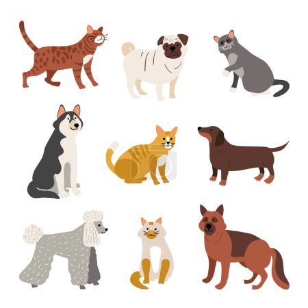 Photo for Different pets assortment Vector illustration. - Royalty Free Image