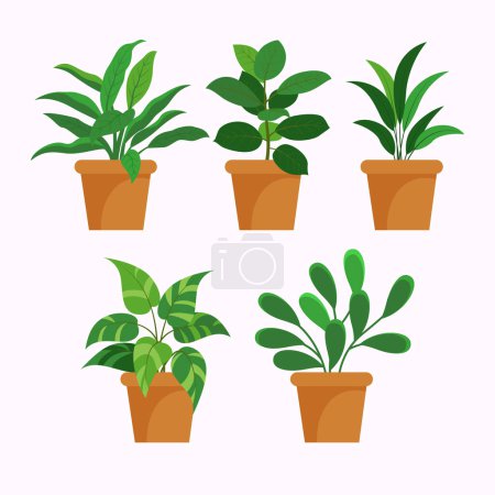 Téléchargez les illustrations : Collection de plantes domestiques plates Illustration vectorielle - en licence libre de droit
