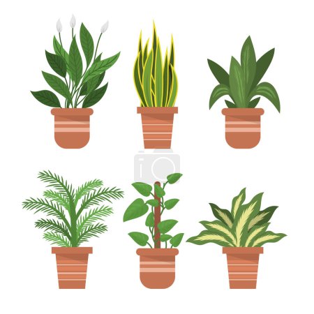 Ilustración de Colección de plantas de interior plana orgánica Ilustración vectorial - Imagen libre de derechos