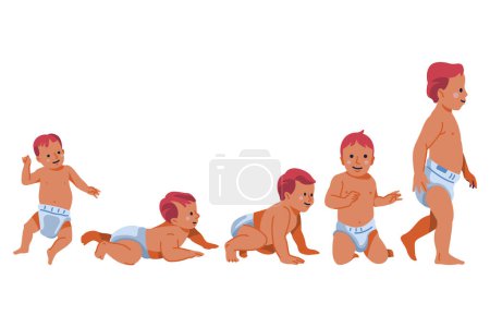 Photo for Flat design stages of a baby boy Vector illustration - Royalty Free Image