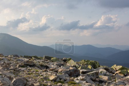 Téléchargez les photos : Montagnes ukrainiennes vertes. L'heure d'été. Belle vue sur les plus grands sommets. - en image libre de droit