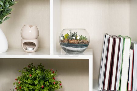 Foto de Florarium en el interior. Flores suculentas en un jarrón de vidrio en un estante. - Imagen libre de derechos