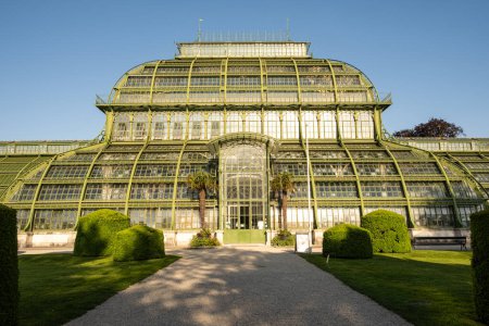 Foto de Greenhouse Palm House, Palmenhaus at Schonbrunn garden, historic glass building. May 15, 2023, Austria, Vienna - Imagen libre de derechos