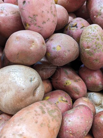 Photo for Red or pink potato variety in supermarket, top view - Royalty Free Image