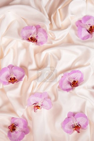 An orchid flower on crumpled bedding