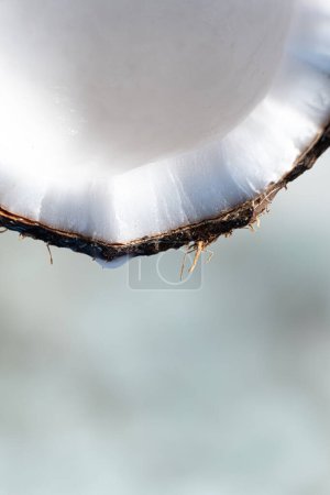 Photo for Macro drop of coconut water dripping from half a coconut. Place for text. - Royalty Free Image