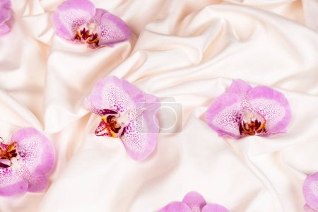 Eine Orchideenblume auf zerknittertem Bettzeug