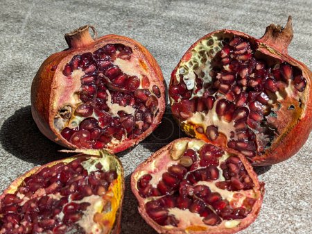 Rotten dried pomegranates, mold inside the pomegranate