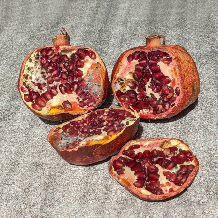 Rotten dried pomegranates, mold inside the pomegranate