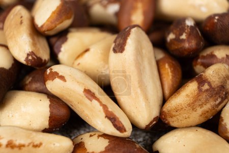 Macro Brazil nuts. The Worlds Healthiest Nuts, A Source of Selenium.