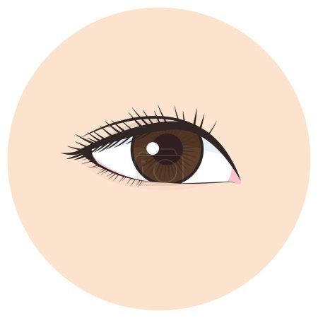 Illustration for Illustration of a woman's eye - Royalty Free Image