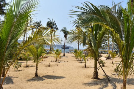 A view of Tamarindos beach with palm trees and a boat in the distance in Acapulco