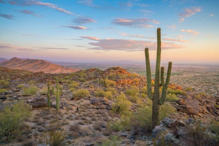 Téléchargez les photos : Paysage naturel de Phoenix, Arizona, USA au coucher du soleil - en image libre de droit