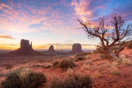 Téléchargez les photos : Paysage de Monument Valley en Arizona, États-Unis au lever du soleil - en image libre de droit
