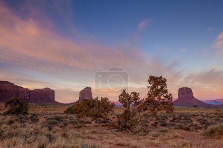 Photo for Landscape of Monument Valley in Arizona, USA at sunrise - Royalty Free Image