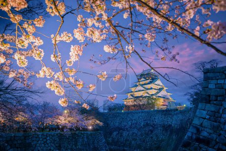 Photo for Twilight at Osaka castle during Cherry blossoms season in Japan at sunset - Royalty Free Image
