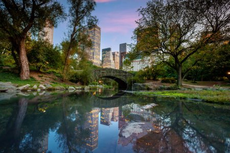 Téléchargez les photos : Central Park et Manhattan City Skyline à New York États-Unis au coucher du soleil - en image libre de droit