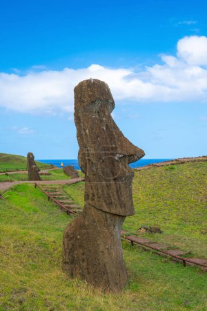 Photo for The ancient moai on Easter Island 2,000 miles off the coast of Chile - Royalty Free Image