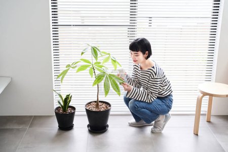 Photo for Young woman taking care of houseplants in the room - Royalty Free Image