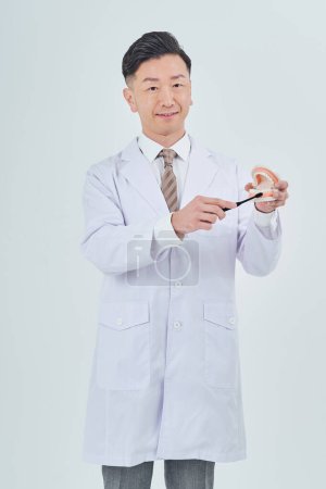 Foto de Un hombre con una bata blanca con un modelo dental y fondo blanco - Imagen libre de derechos