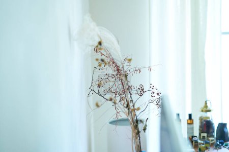 Téléchargez les photos : Une chambre calme avec des fleurs séchées remplies de lumière douce - en image libre de droit