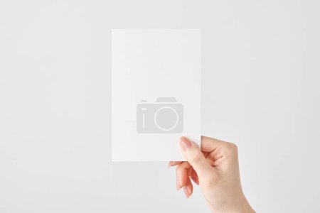 Téléchargez les photos : Main de femme tenant du papier blanc et fond blanc - en image libre de droit