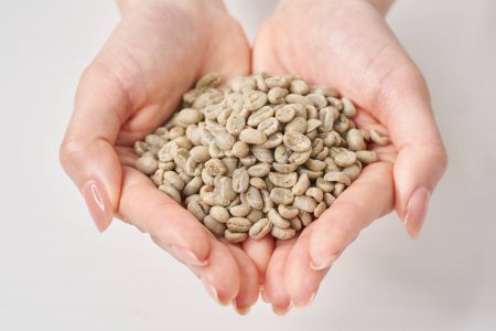 Woman's hand holding coffee beans before roasting