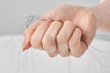 Téléchargez les photos : Main d'une femme avec des cheveux perdus et fond blanc - en image libre de droit