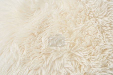 gros plan de tissu pelucheux beige comme un tapis ou un animal