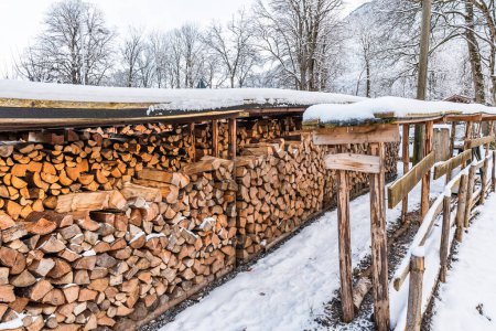 Stacked pile of firewood at winter time
