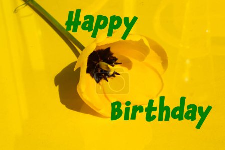 gelbe Tulpe auf gelbem Hintergrund, Dekoration, Geburtstagskartenniedriger Hintergrund, Dekoration, Geburtstagskarte