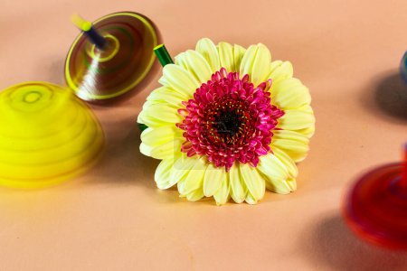 Photo for Spinning top with gerbera in the middle, children's top, - Royalty Free Image